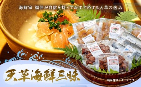 ＜ R8年熊本地震復興支援 ＞天草海鮮三昧