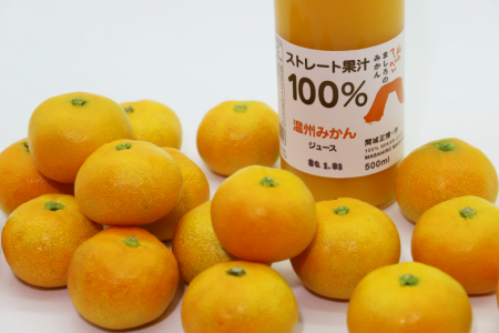 間城農園 温州みかんジュースとみかん１kg A-255