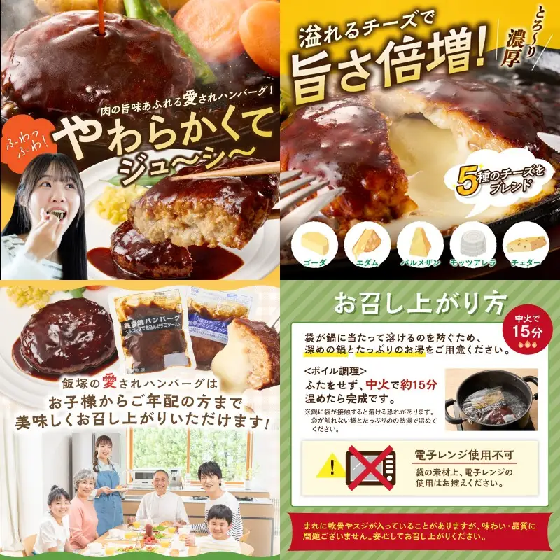 かねふく辛子明太子&デミソースのハンバーグ2種セット【3ヶ月毎定期便(計4回発送)】【F8-005】