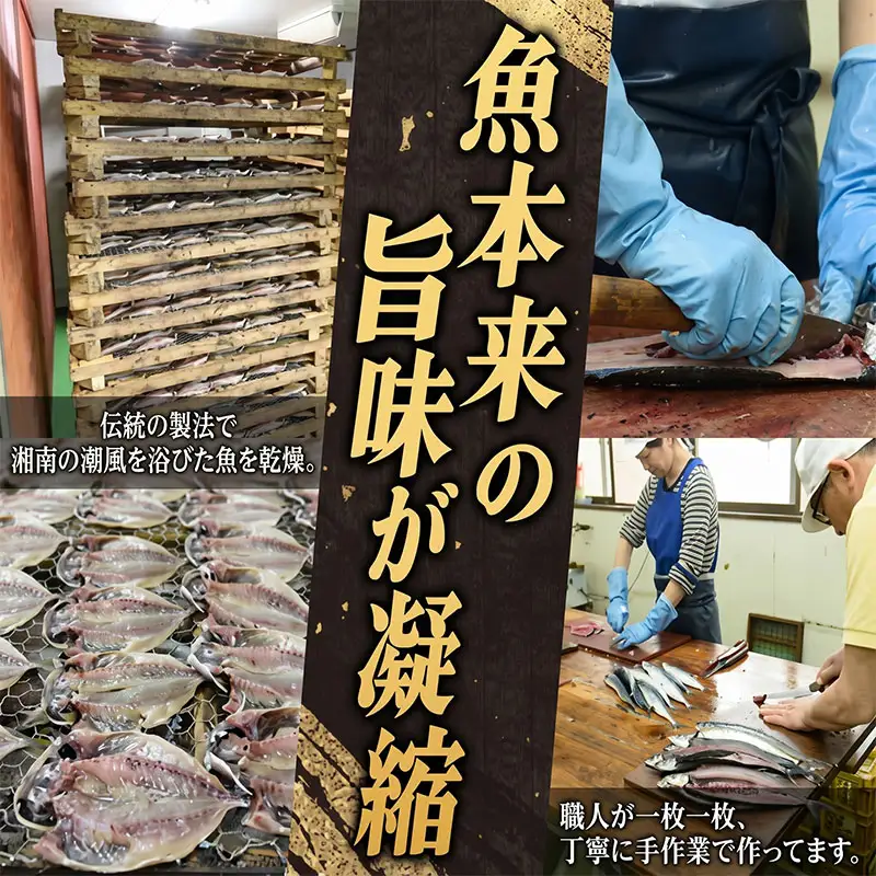 老舗干物店 干物 6種 詰合せ 湘南