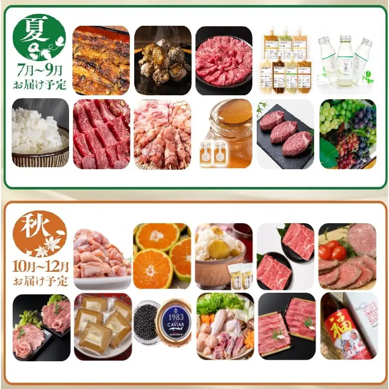 【季節の定期便G】12ヶ月毎月届く 西都まるごと堪能セット42品お届け！【プレミアムコース】マンゴー 宮崎牛 うなぎ 牛肉等＜1-7a＞