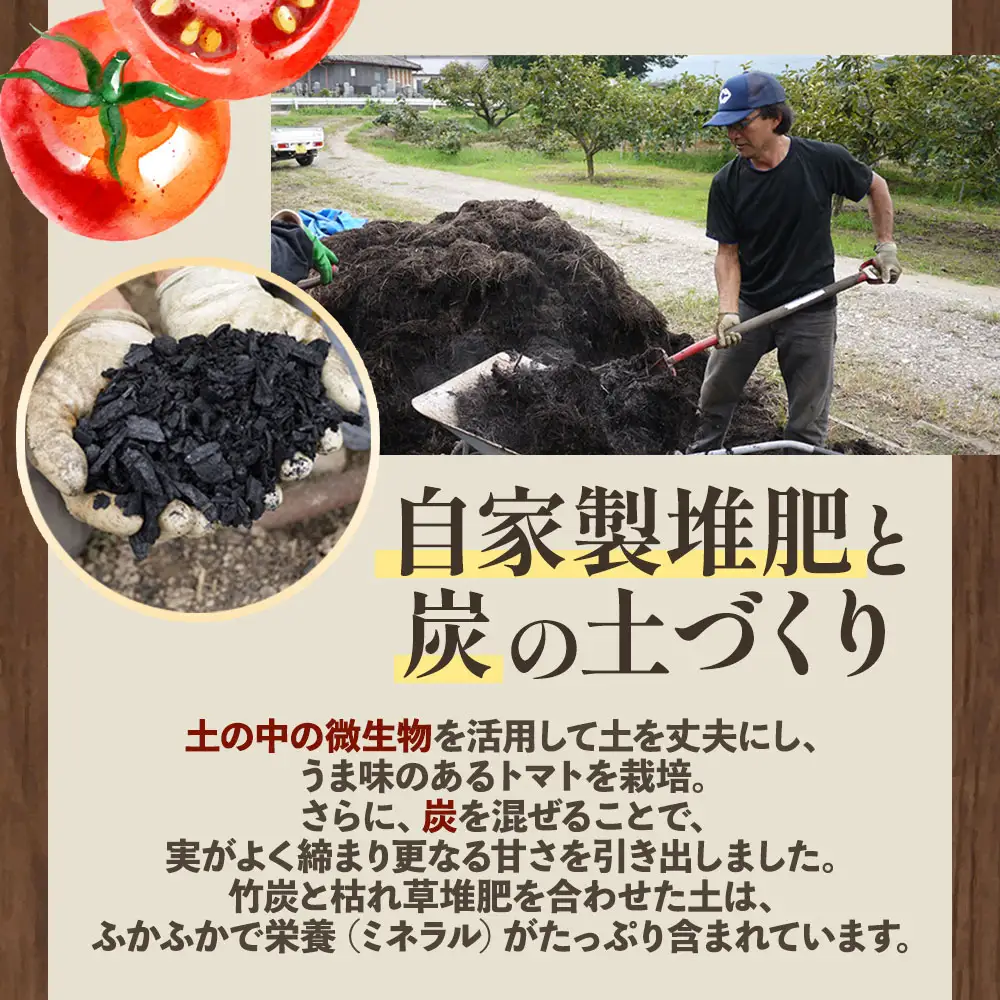 土力のフルーツトマト  大玉 KN-01