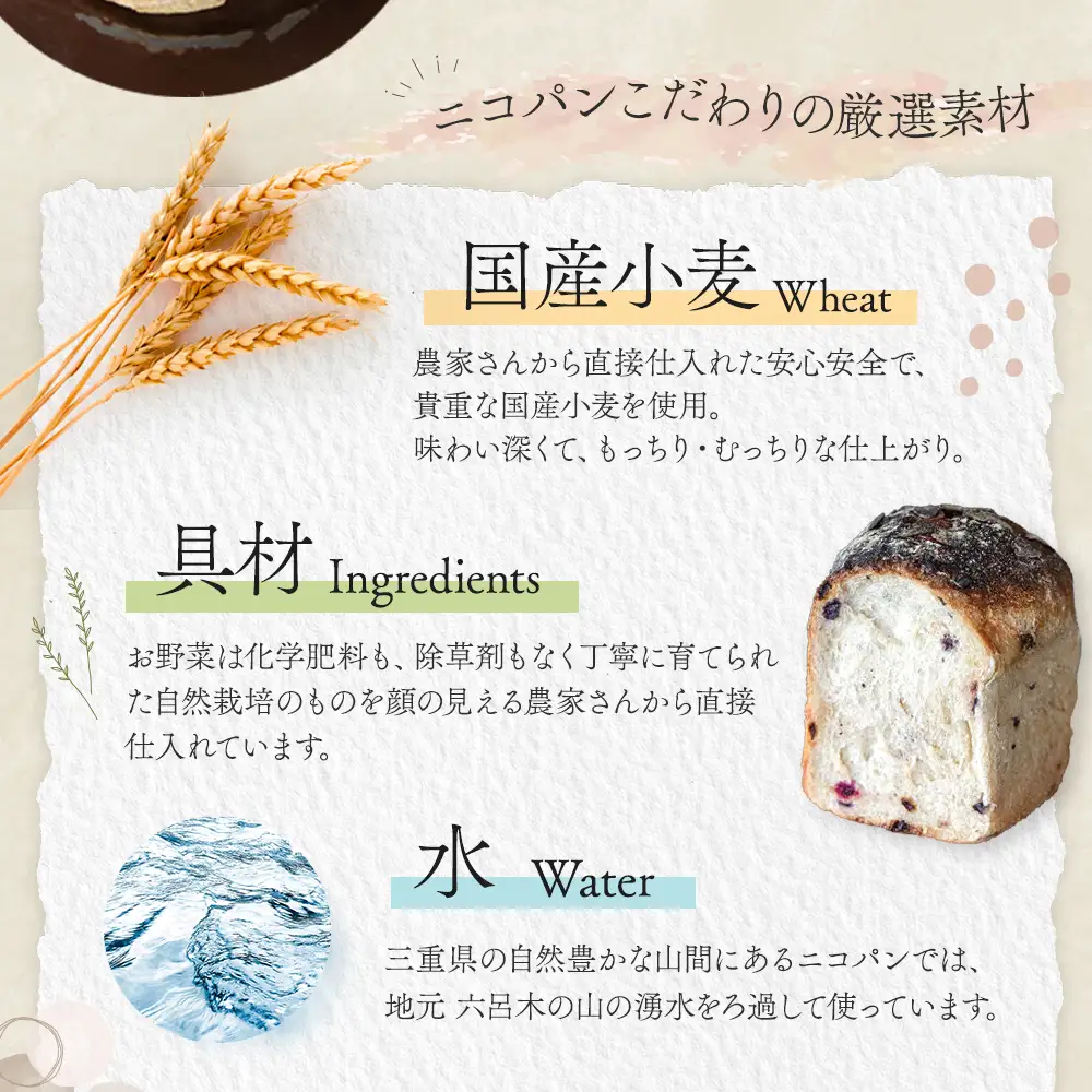 カラダヨロコブ天然酵母の二コパンセットA | パンパンパンパン