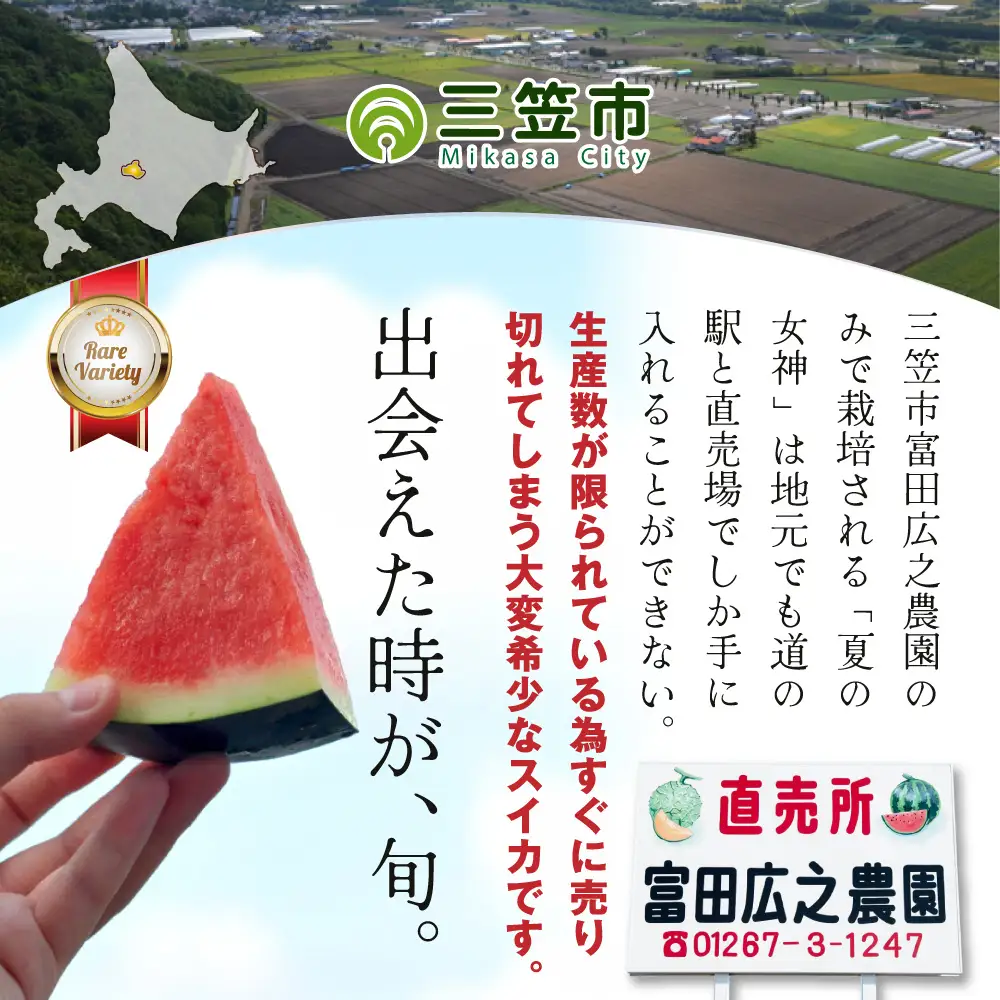 《2026年分受付中》『夏の女神』種が少なくて甘い黒皮スイカ1玉入（中玉4～6kg）【01005】