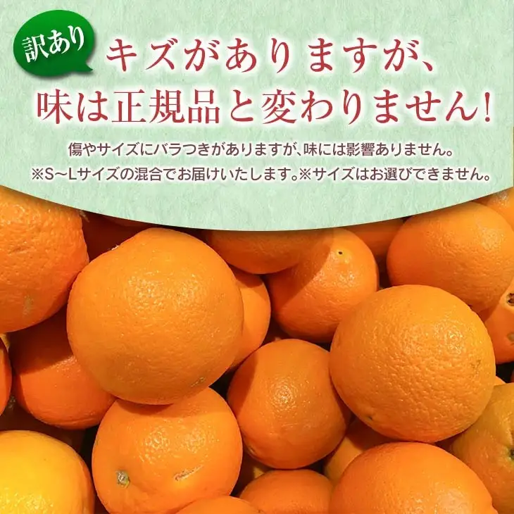 訳あり みかん 津之輝 計3kg以上 先行予約 2027年 令和9年発送 果物 くだもの フルーツ 柑橘_BC169-26