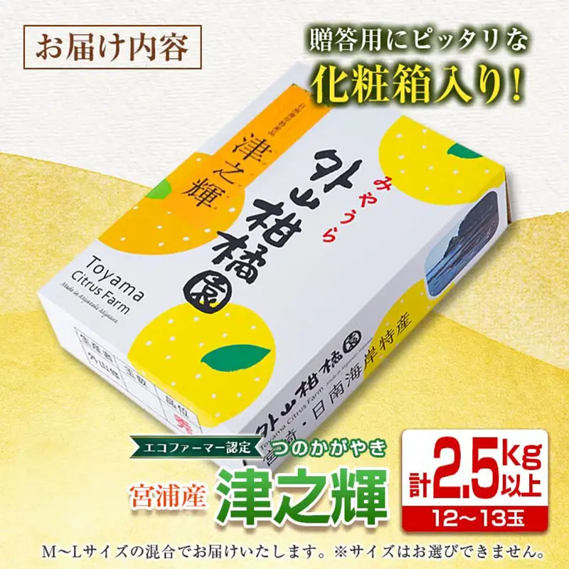 みかん 津之輝 計2.5kg以上 化粧箱入り 先行予約 2027年 令和9年発送 果物 くだもの フルーツ 柑橘_BC170-26