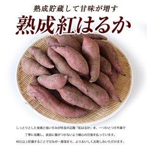 2026年11月上旬～発送 指宿産 紅はるか 約7kg IB066-006 さつまいも
