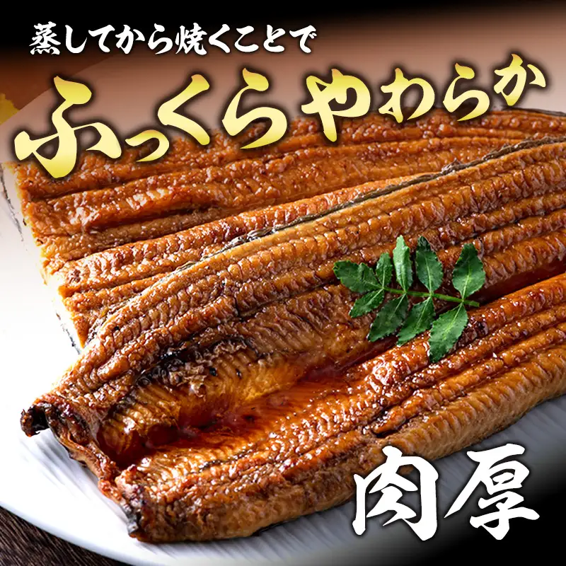 うなぎ 国産 上 長蒲焼き 3尾 420g以上 うなぎ