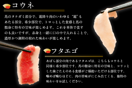 厳選プレミアム 馬刺し セット 460g 熊本 千興ファーム 馬肉 《60日以内に出荷予定(土日祝除く)》 冷凍 配送 新鮮 さばきたて 真空パック SQF ミシュラン 生食用 肉 菅乃屋 熊本県御船町 数量限定  贈答用 ギフト 