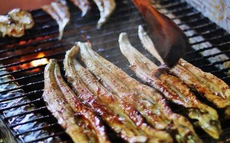 国産天然焼穴子（約400g） あなご アナゴ 秘伝のタレ