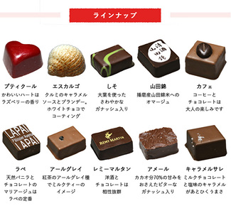 チョコ ボンボンショコラ アベニュー・ド・ラペ チョコ【15粒】【冷蔵】
