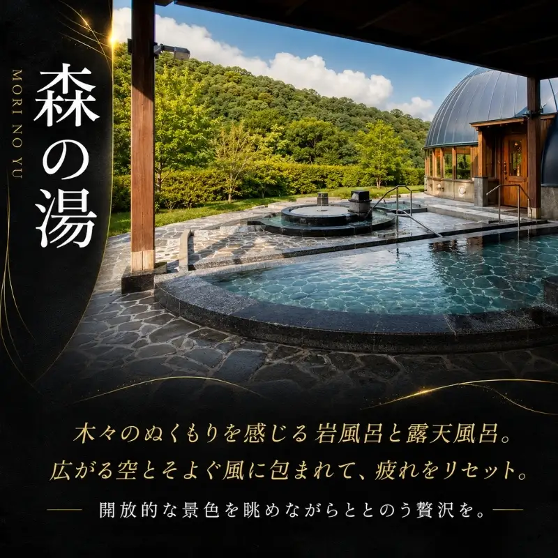 温泉利用券 白雲谷温泉ゆぴか 入浴券 お食事券 温泉利用券【入浴券2枚 食事券3枚】