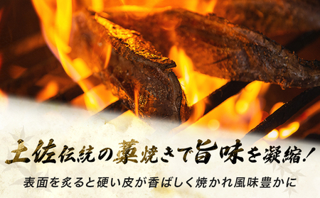 【かつおのたたき】高知県 かつおのたたき 計600～800g 鰹【md001】 [1234]