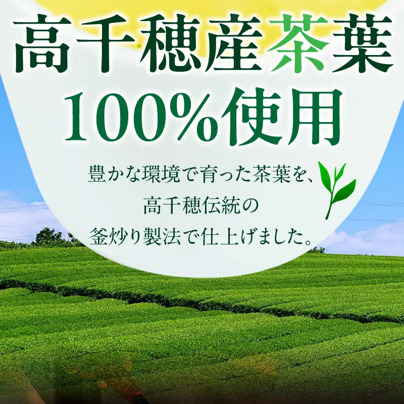 高千穂釜茶 500mlペットボトル 18本入 2ケース お茶 茶 緑茶 日本茶 釜炒り茶 高千穂煎茶 ドリンク 飲料 ペットボトル ペットボトル飲料 まとめ買い ストック 備蓄 常備品 ケース 箱 箱買い 買い置き おすそ分け おもてなし 普段使い 日常使い 国産 宮崎県産 宮崎県 高千穂町 _Tk004-028