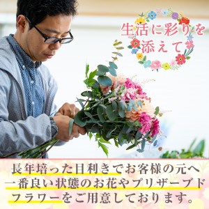 【14767】《数量限定》ヘッドパーツ(ヘアーアクセサリー)/プリザーブドフラワー&ドライフラワー！結婚式や成人式や卒業式パーティーなど様々なシーンに！【幸積】