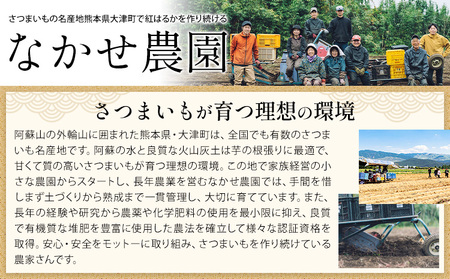 さつまいも 蔵出しベニーモ 約1.5kg さつまいも