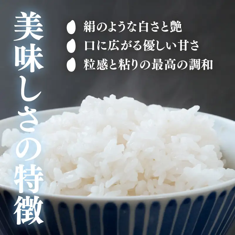  【令和7年産】いちほまれ 精米 10kg 《ギフトにもおすすめ！化粧箱入り》／ 福井県産 ブランド米 白米 贈り物 お取り寄せ [aw003-c001]