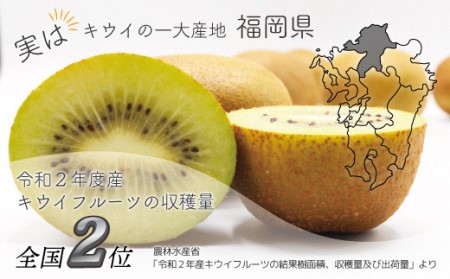 【2026年11～12月出荷】福岡県ブランドキウイフルーツ「博多甘うぃ」約3.6kg[G2218]