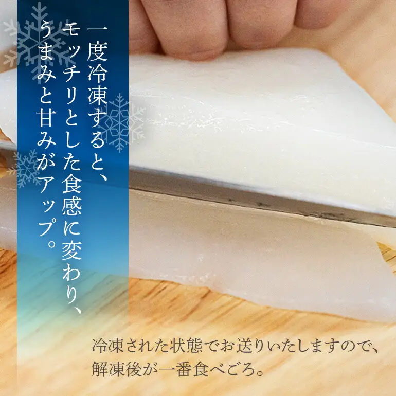 ソデイカ 約1kg いか  セーイカ