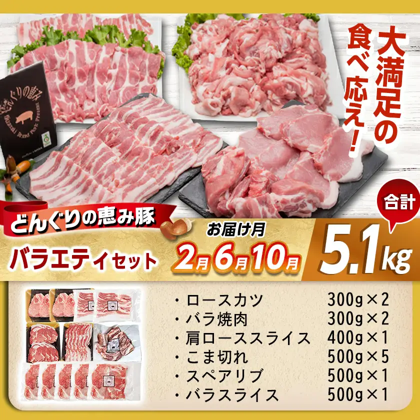 「どんぐりの恵み豚」お肉満載定期便(5ヶ月)〔T60(5)-1102〕_(都城市) 万能スライスセット バラエティセット こま切れセット しゃぶしゃぶセットなど 冷凍 豚肉の定期便 とんかつ スライス しゃぶしゃぶなど