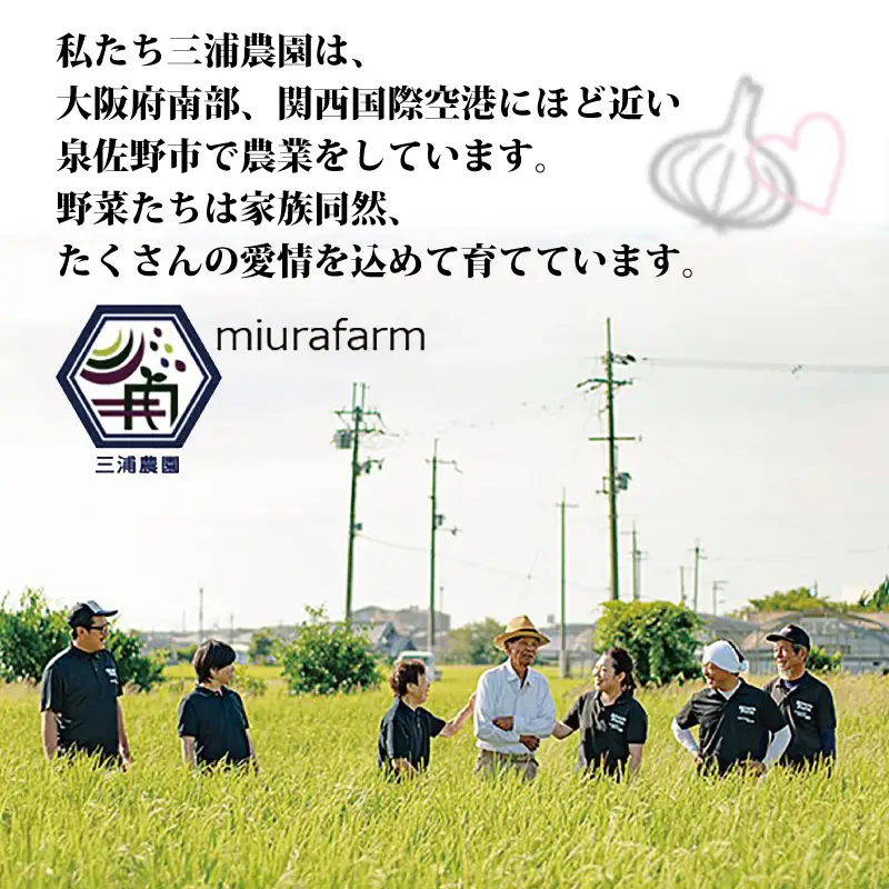 【先行予約】 数量限定 幻のたまねぎ 泉州黄玉ねぎ 10kg
