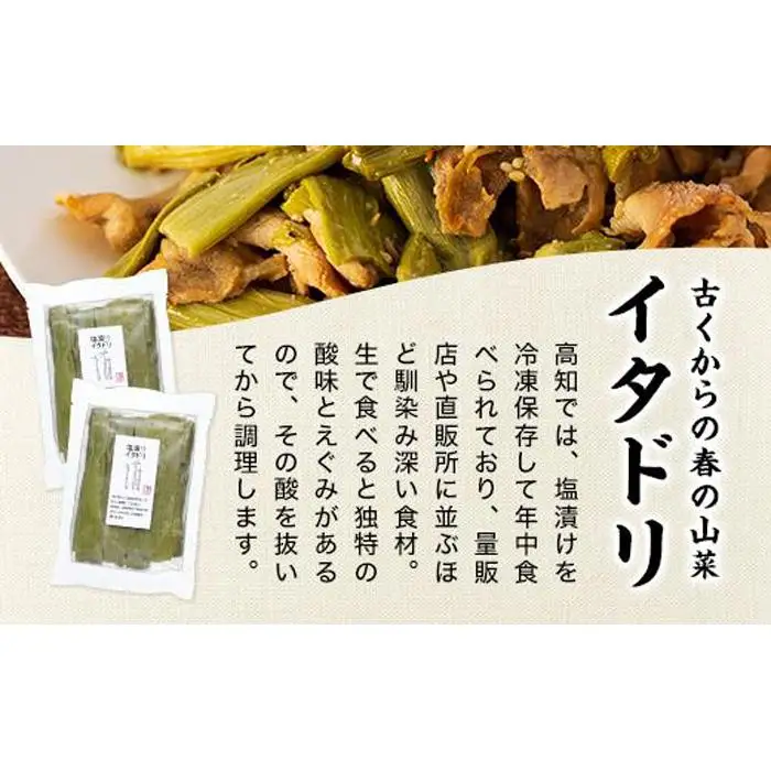 【産地直送】高知県産冷凍イタドリの詰め合わせセット【塩漬け】【野菜 虎杖  人気 高知県 南国市】