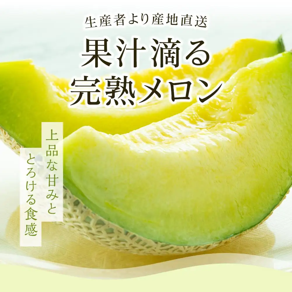 【先行予約】南国メロン マンゴー セット＼メロン フルーツ ／