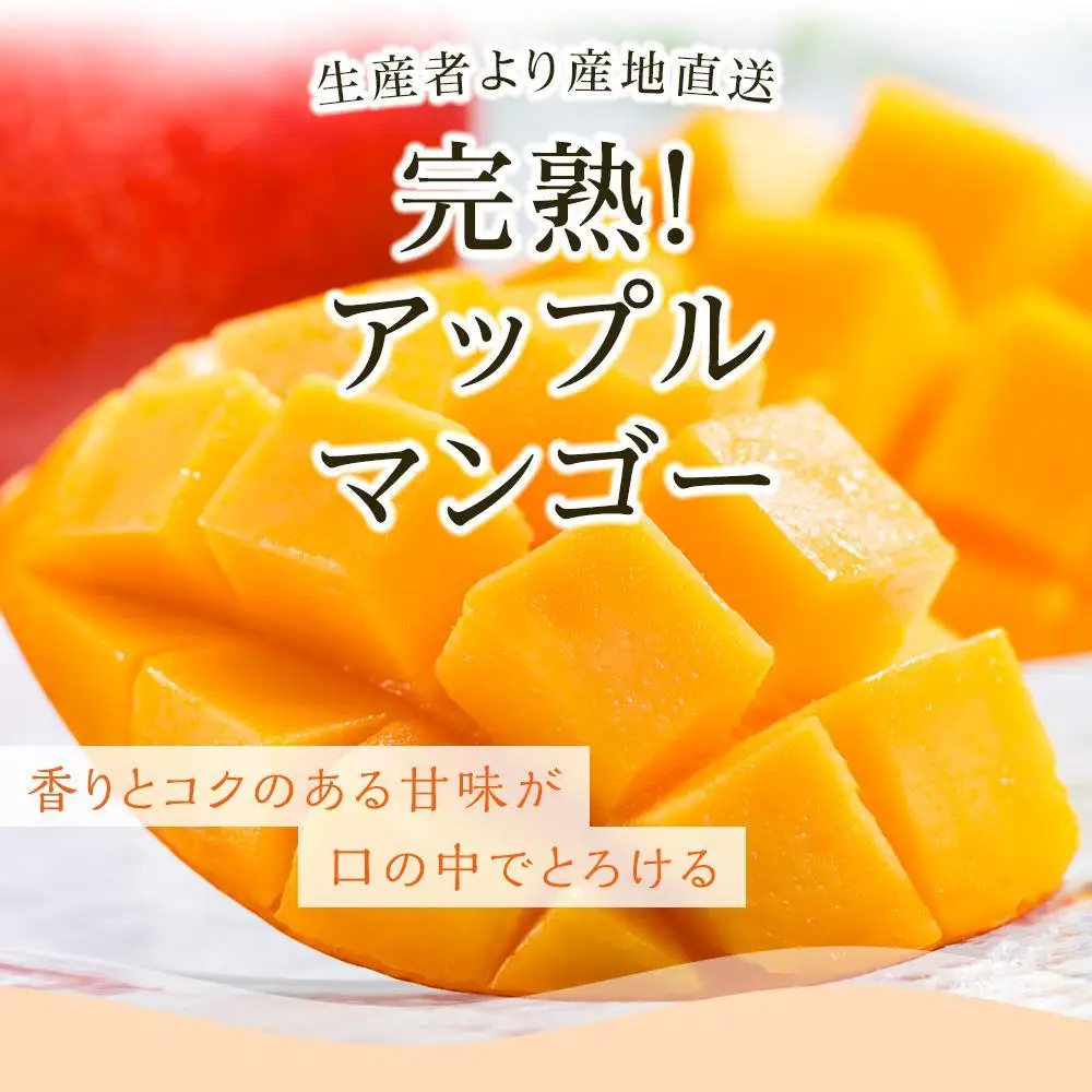 【先行予約 2027年発送】完熟マンゴー 2個～3個 0.8g～1kg | アップルマンゴー