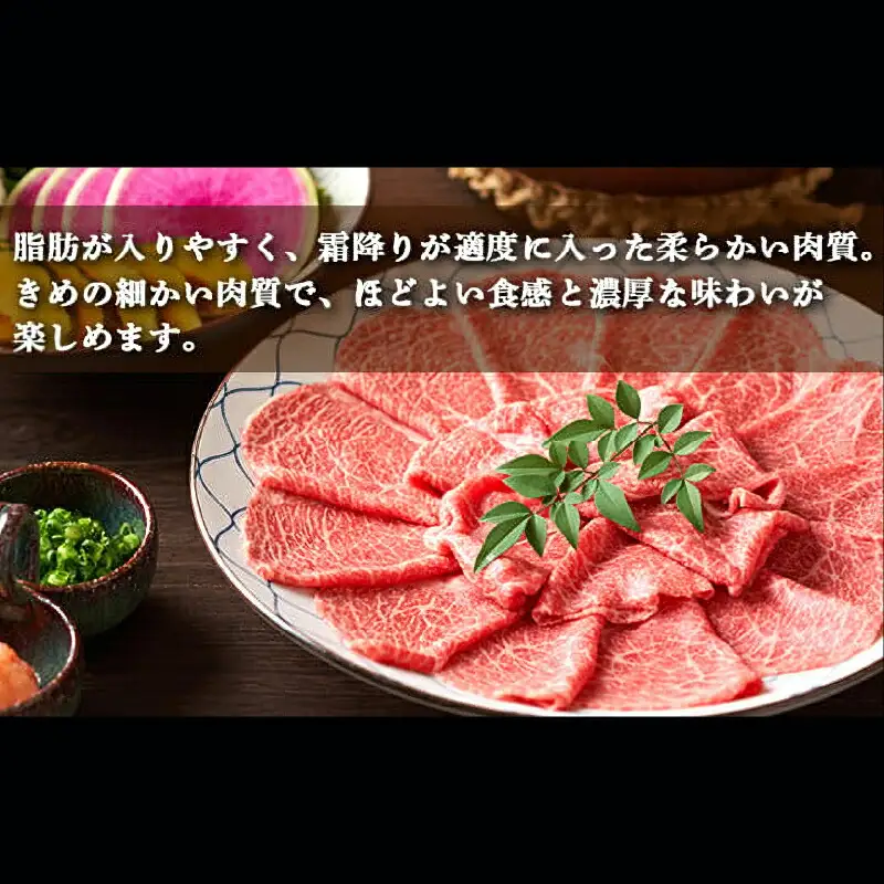 土佐あかうし 和牛クラシタ／しゃぶしゃぶ用 500g | あか牛 赤身 旨味 希少 幻 贈り物 ギフト 高知県 南国市