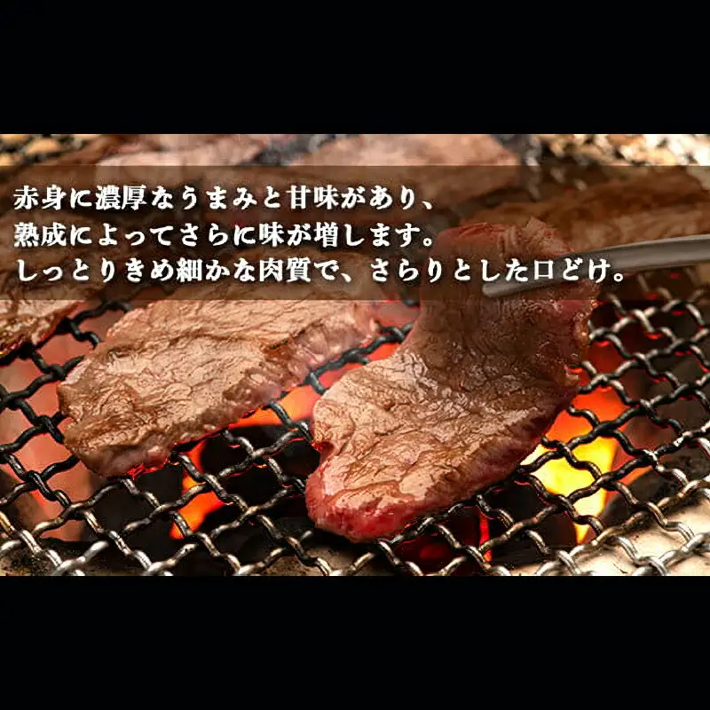 土佐あかうし 和牛肩ロース／焼肉用 500g | あか牛 赤身 旨味 希少 幻 贈り物 ギフト 高知県 南国市