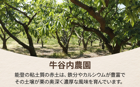 【先行予約】牛谷内農園 の 能登栗 | 栗