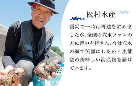 朝獲れ直送！ 活さざえ 約2kg  ～穴水湾でとれた新鮮活サザエ～|奥能登 能登半島 貝 海鮮