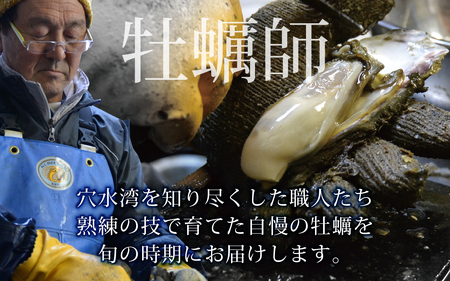 鮮度抜群！獲れたてをお届け！ 能登穴水の牡蠣（殻付き）加熱用3kg |  奥能登 能登半島 牡蠣