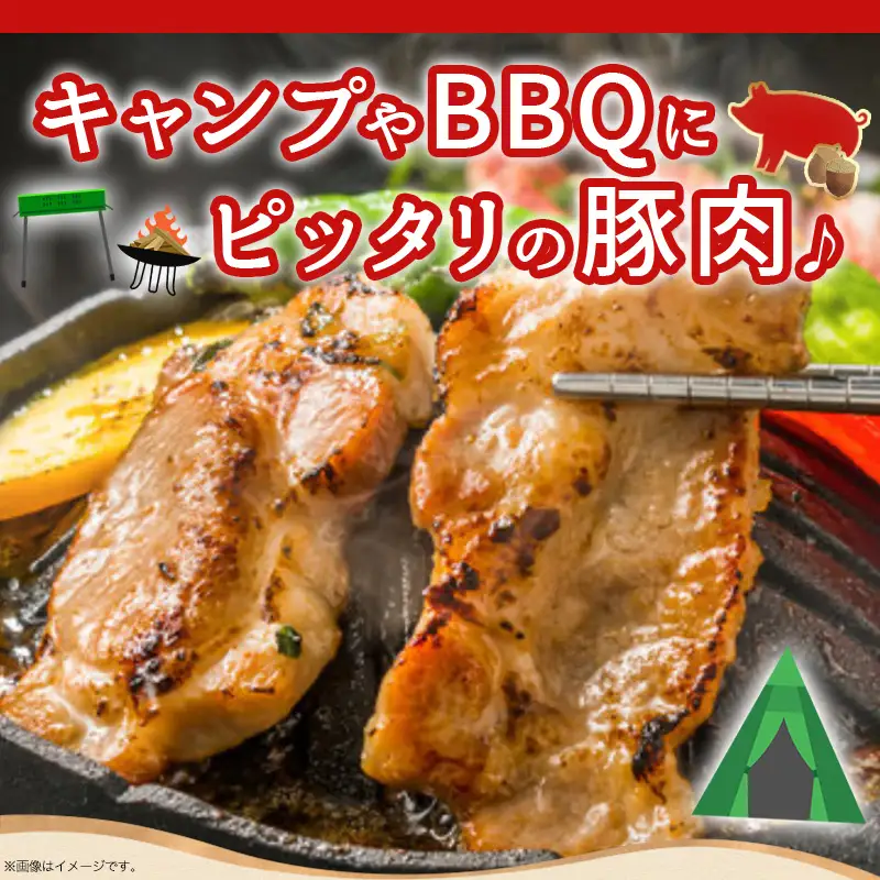 「どんぐりの恵み豚」キャンプ飯3.6kgセット〔17-1104〕_(都城市) 都城産豚 どんぐりの恵み ロースステーキ バラワイルド焼肉 肩ロース焼肉 モモ焼きそば用 ウデ大判スライス スペアリブ焼肉 真空包装 3.6キロ 200g 300g BBQ キャンプ