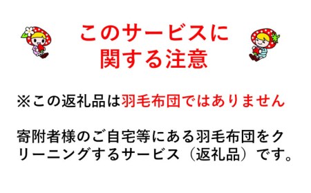 U01　羽毛布団丸洗いクリーニング　防ダニ加工付き（シングル1枚）