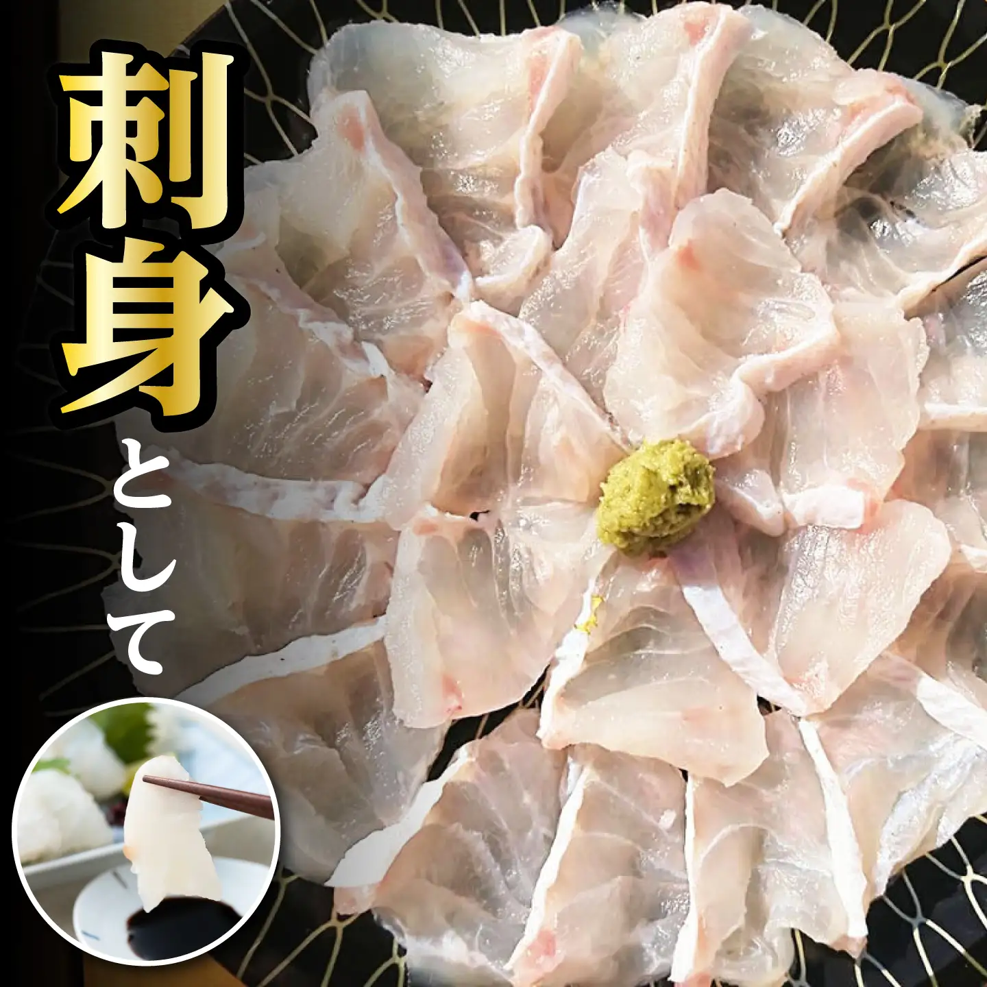 【2026年10月より順次発送】対馬産 幻の高級魚 クエ 1.2kg 海鮮 魚介 鍋 高級 [WAA014]