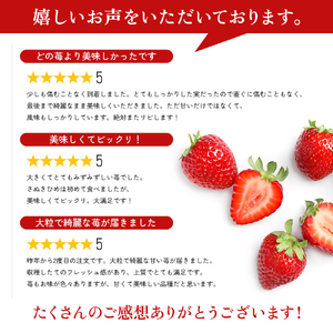 いちご さぬきひめ 化粧箱 香川県産 いちご【400g】【1月2月発送】