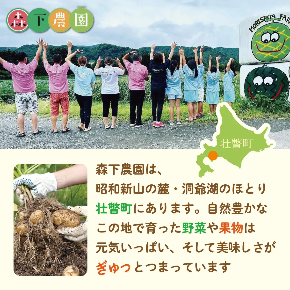 ＜2026年9月下旬よりお届け＞北海道壮瞥町産じゃがいも（とうや）Lサイズ10kg SBTN005