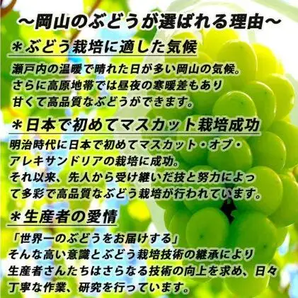 ぶどう 2026年 先行予約 シャイン マスカット 【9月上旬～順次発送分】約2kg 糖度抜群！  岡山県産 シャイマスカット