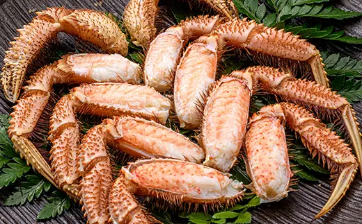 北海道噴火湾産「カネキチ」 浜ゆで毛ガニ 3尾 約430～470g＜カネキチ澤田水産＞ かに カニ 蟹 ガニ がに 森町 ふるさと納税 北海道 毛蟹 毛かに 毛ガニ 毛カニ mr1-1479