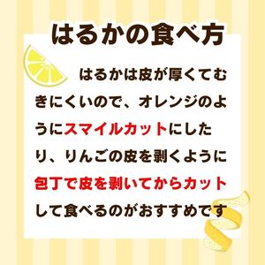 【先行予約】 訳あり はるか 2kg なくなり次第終了 フルーツ 果物 みかん 柑橘 かんきつ 期間限定 みかん 蜜柑 冬 糖度 みかん職人武田屋
