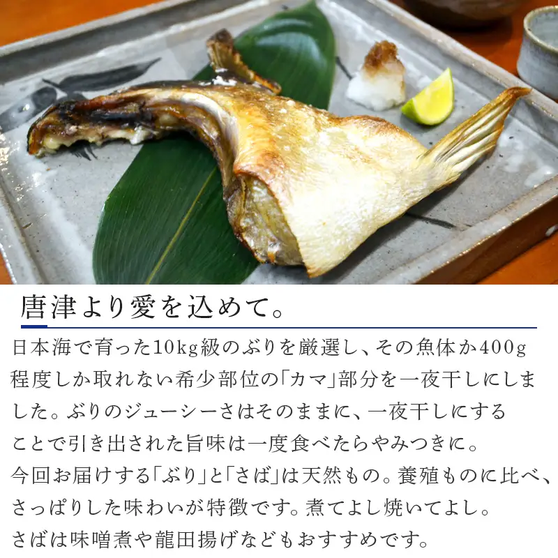 天然ぶりかま一夜干し ハーフ2食×2袋 計400g＆天然さばフィレ 100g×2枚×3袋計600g(合計1kg) 