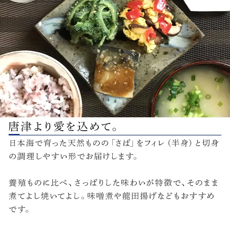 天然さば切身 切身2枚×5袋(計400g)＆天然さばフィレ フィレ2枚×3袋 (計600g) 総量1kg