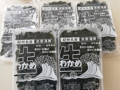 紀州名産　塩わかめ　約1kg（約200g×5）【hsc103】