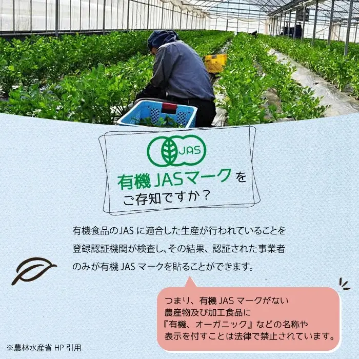 有機完熟トマトのギフトセット（ケチャップ２８０ｇ×３本） C3
