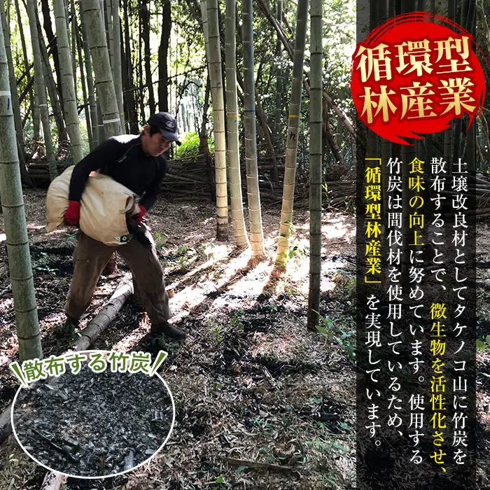 i365 ≪数量限定！先行予約受付中！2027年4月上旬～4月中旬の間に発送予定≫鹿児島県出水市産！タケノコ＜皮付き10kg＞ たけのこ 筍 タケノコ 国産 皮付き 野菜 旬 新鮮 採りたて 煮物 味噌汁 炊き込みご飯 【シンタク】