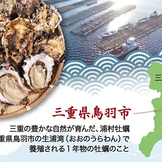 【先行予約／2026年12月より順次発送】I-55生食用浦村牡蠣１５個入りセット