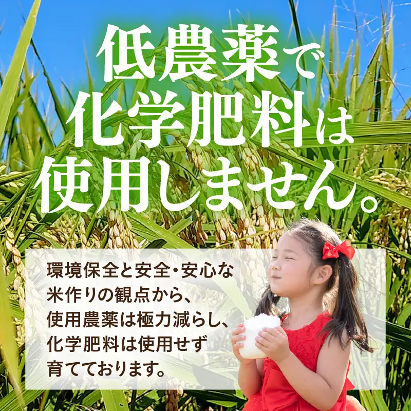 【先行予約】【令和8年産】 化学肥料不使用あきさかり 精米 5kg（5kg×1袋） / 白米 米 福井県あわら市産 美味しい 特別栽培米 減農薬 安心な米 旨味 甘み もっちり 冷蔵保管米 ※2026年10月上旬以降発送予定 [aw010-a065]
