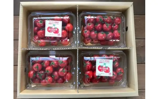 【2027年発送】衝撃の一粒!!奇跡のさくらんぼミニトマト(プチぷよ) 約1kg 野菜ソムリエサミット 金賞 受賞 長田農園 産地直送 トマト とまと 野菜 やさい フルーツ サラダ 濃厚 甘い ご褒美 プレゼント 美容 健康 リピート多数 人気 高評価 数量限定 碧南市 H004-180_Apr