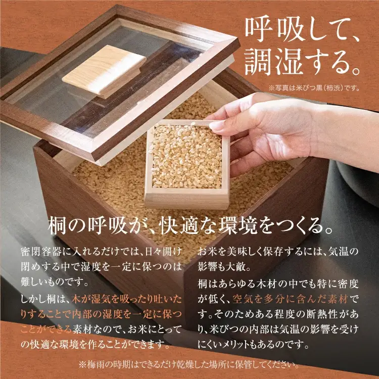 【ふるなびWEEK対象】米びつ ５kg タイプ 米びつ
